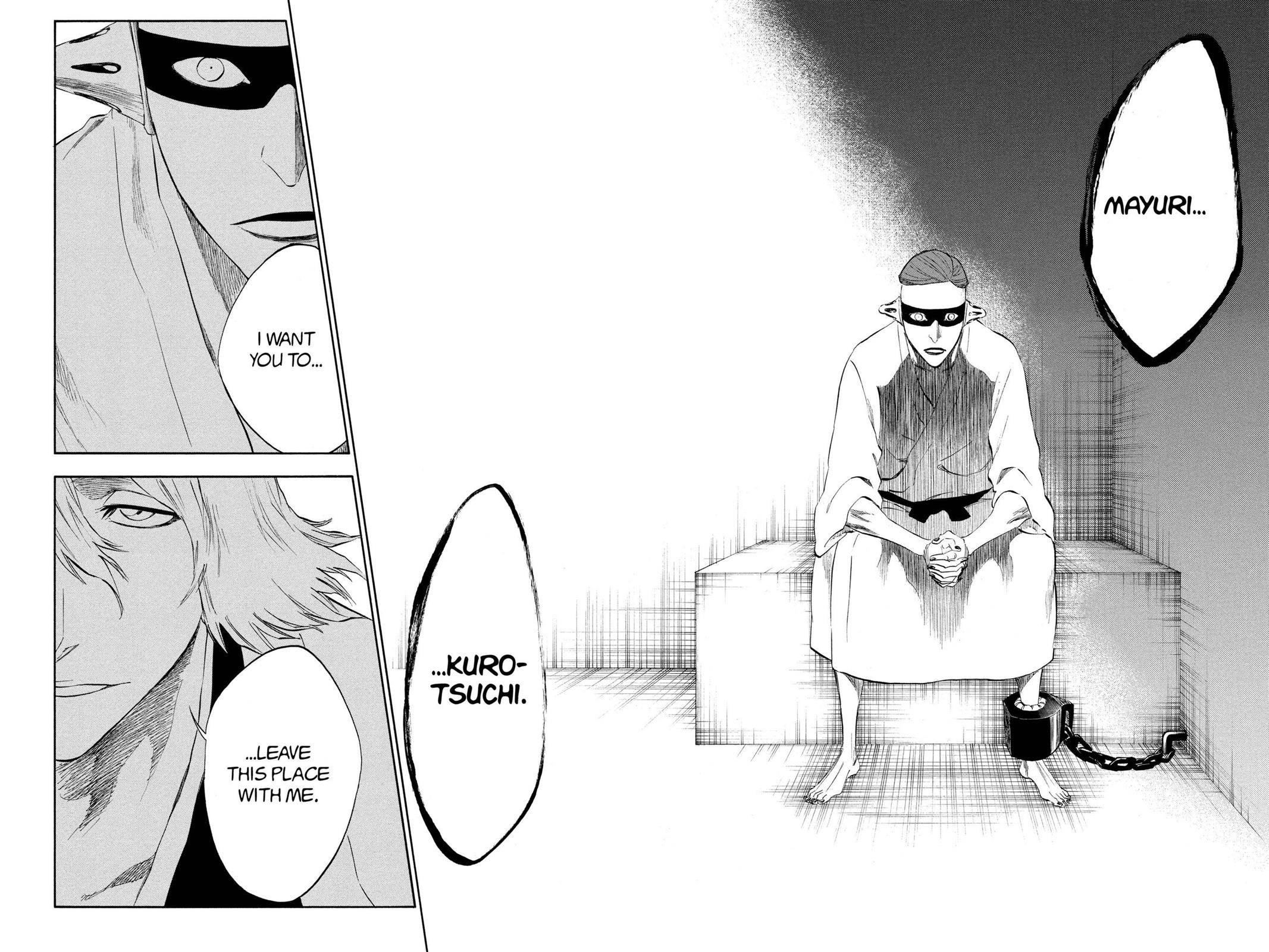 Bleach, Chapter 315.5