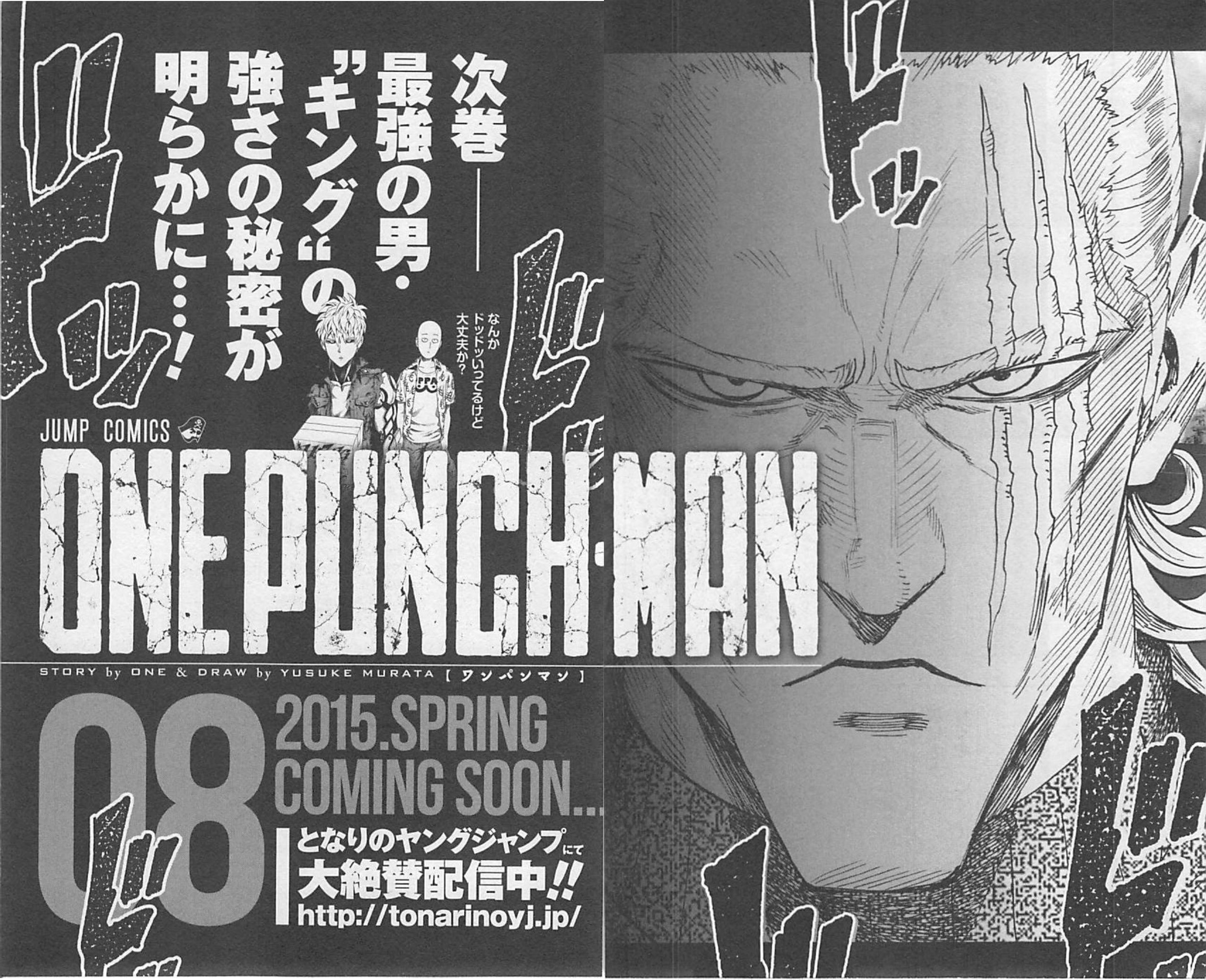 29 One-Punch Man Manga Online