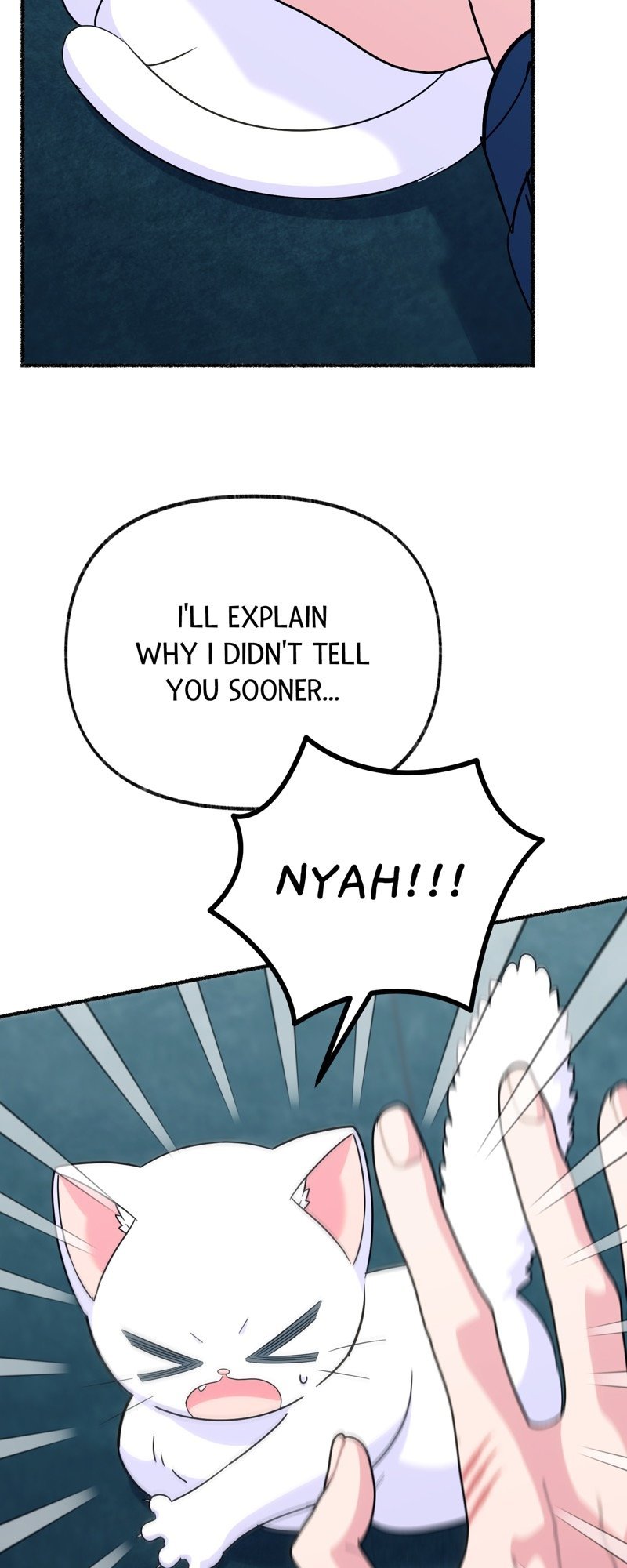 Read The Possesive Tyrant And His Sleepy Cat Manga English [New Chapters] Online Free MangaClash